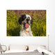 English Setter Late Summer Wall Decal