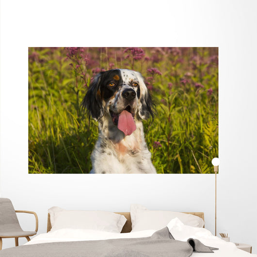 English Setter Late Summer Wall Decal