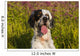 English Setter Late Summer Wall Decal