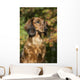 Standard Dachshund September Vegetation Wall Decal
