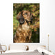 Standard Dachshund September Vegetation Wall Decal