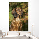 Standard Dachshund September Vegetation Wall Decal