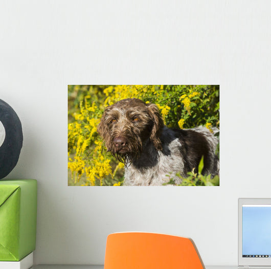 German Wirehaired Pointer Autumn Wall Decal
