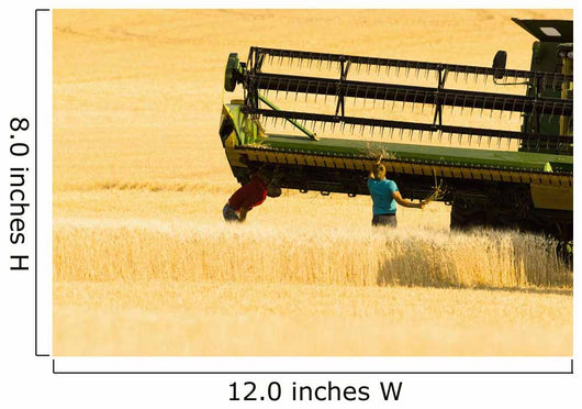Paplow Harvesting Company Custom Wall Decal Design 1