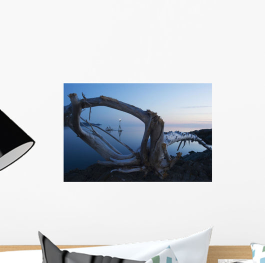 Through Driftwood Sunrise over Wall Decal