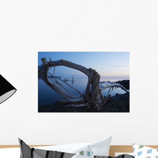 Through Driftwood Sunrise over Wall Decal