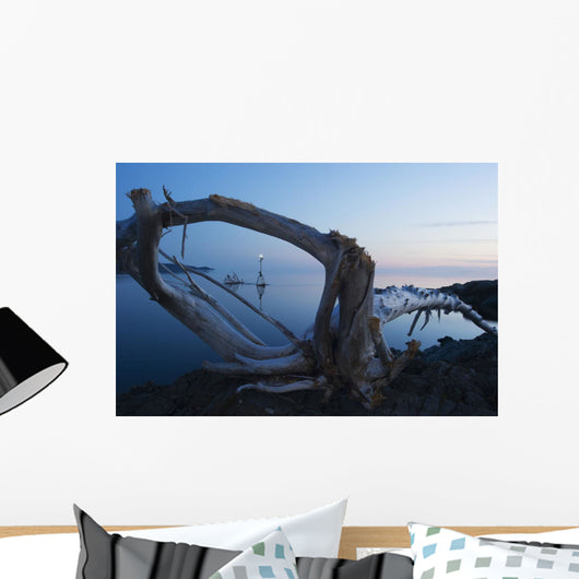 Through Driftwood Sunrise over Wall Decal