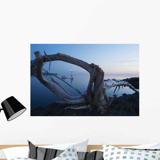 Through Driftwood Sunrise over Wall Decal
