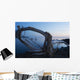 Through Driftwood Sunrise over Wall Decal