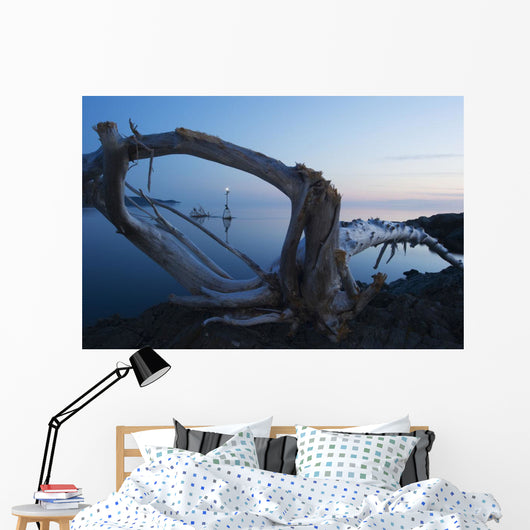 Through Driftwood Sunrise over Wall Decal