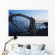 Through Driftwood Sunrise over Wall Decal