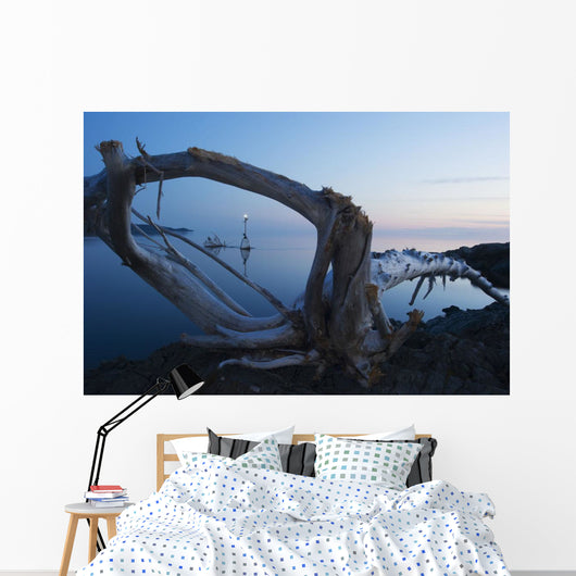 Through Driftwood Sunrise over Wall Decal