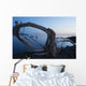 Through Driftwood Sunrise over Wall Decal