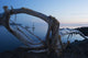Through Driftwood Sunrise over Wall Decal