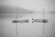 Two Sailboats Reflected Calm Wall Decal