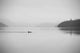 Lone Swimmer Swims across Wall Decal