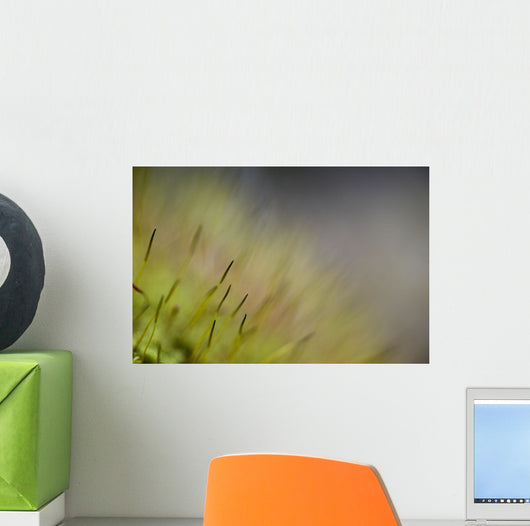 Macro Details Forest Floor Wall Decal