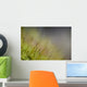 Macro Details Forest Floor Wall Decal