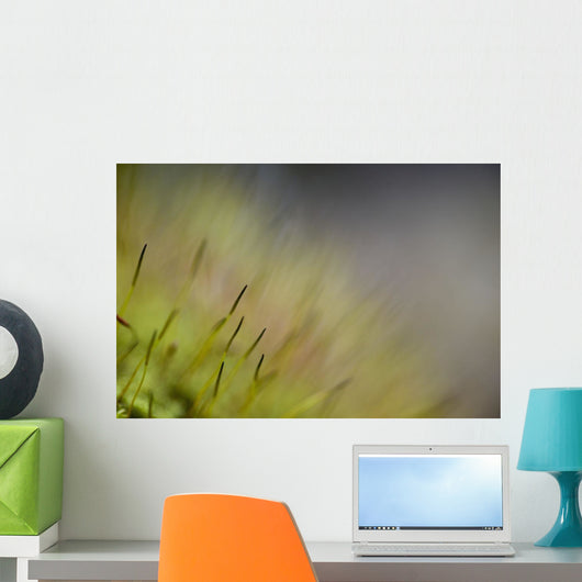 Macro Details Forest Floor Wall Decal