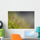 Macro Details Forest Floor Wall Decal