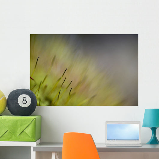 Macro Details Forest Floor Wall Decal