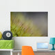 Macro Details Forest Floor Wall Decal