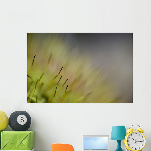 Macro Details Forest Floor Wall Decal