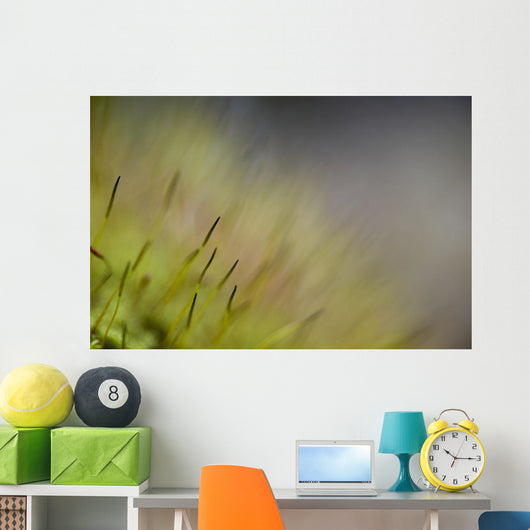 Macro Details Forest Floor Wall Decal
