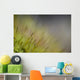 Macro Details Forest Floor Wall Decal