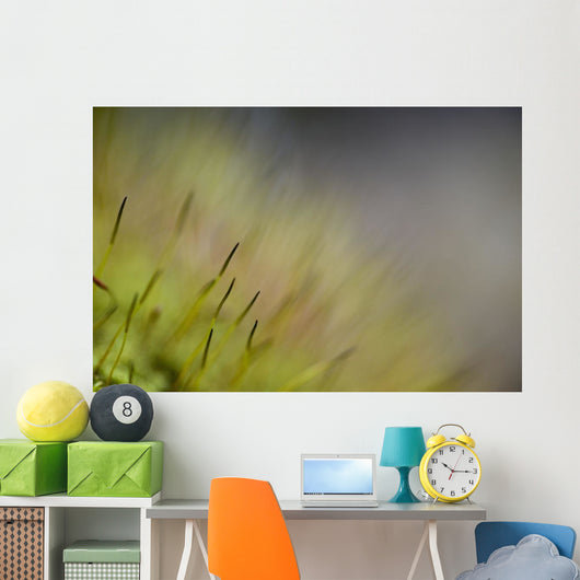 Macro Details Forest Floor Wall Decal
