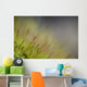 Macro Details Forest Floor Wall Decal