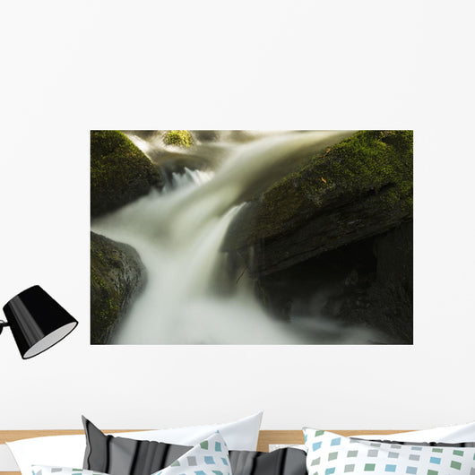 Stream Water Rushing down Wall Decal