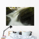 Stream Water Rushing down Wall Decal