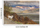 Adult Ram Dall Sheep Wall Decal Design 2