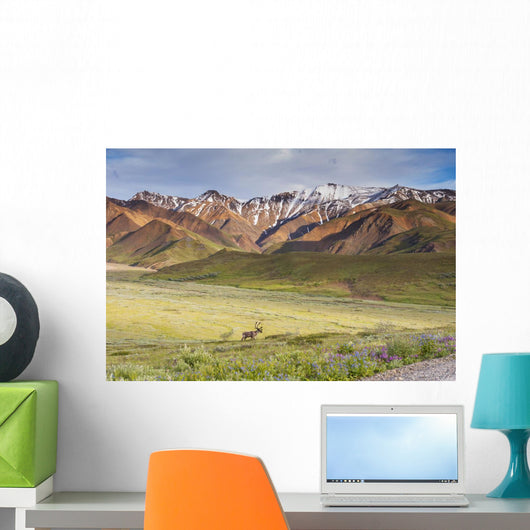 Bull Caribou Approaching Park Wall Decal Design 2