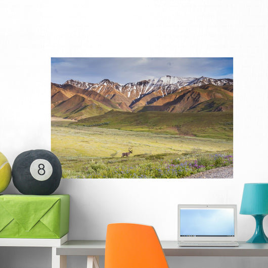 Bull Caribou Approaching Park Wall Decal Design 2