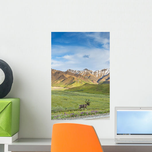 Bull Caribou Approaching Park Wall Decal Design 1