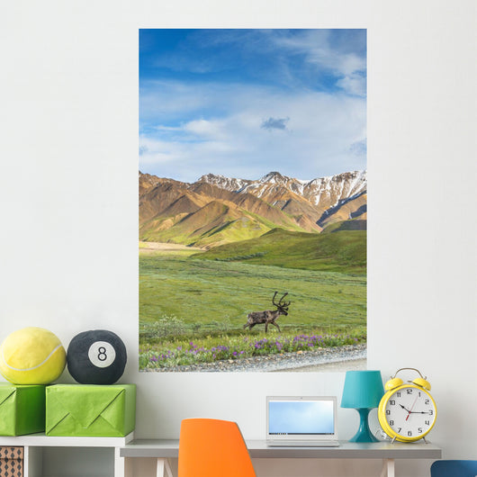 Bull Caribou Approaching Park Wall Decal Design 1