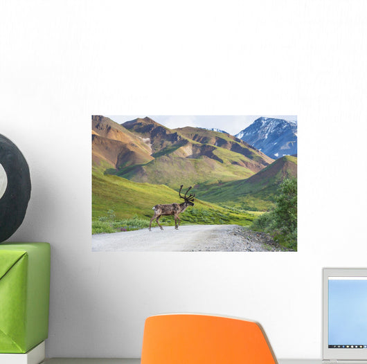 Bull Caribou Crosses Park Wall Decal