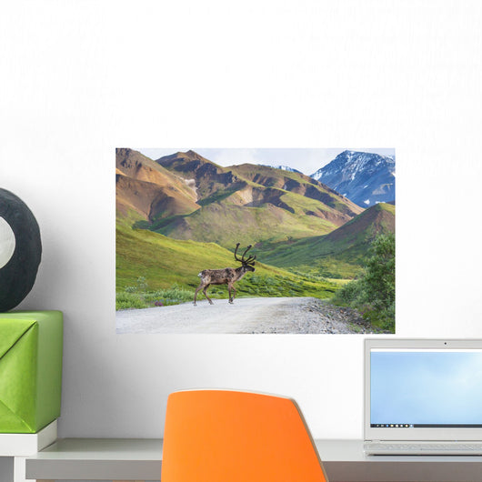 Bull Caribou Crosses Park Wall Decal