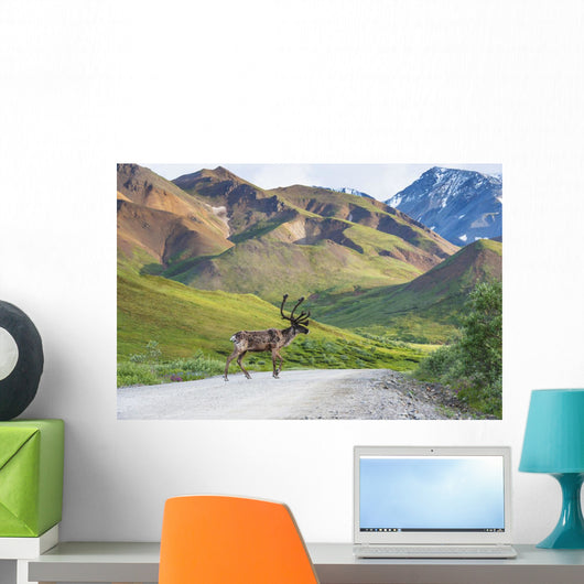 Bull Caribou Crosses Park Wall Decal