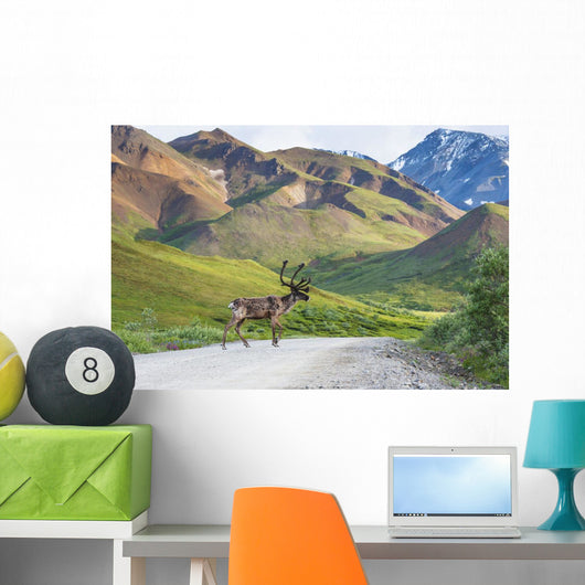 Bull Caribou Crosses Park Wall Decal