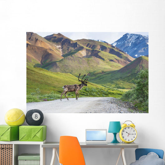 Bull Caribou Crosses Park Wall Decal
