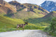 Bull Caribou Crosses Park Wall Decal