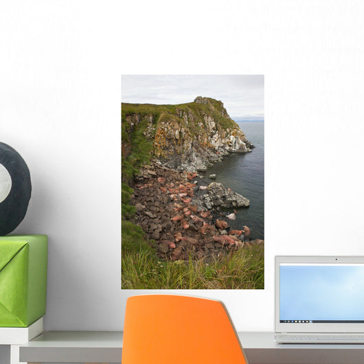 Scenic Pacific Walrus Hauled Wall Decal Design 1