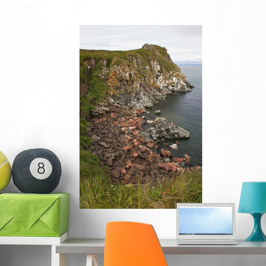 Scenic Pacific Walrus Hauled Wall Decal Design 1