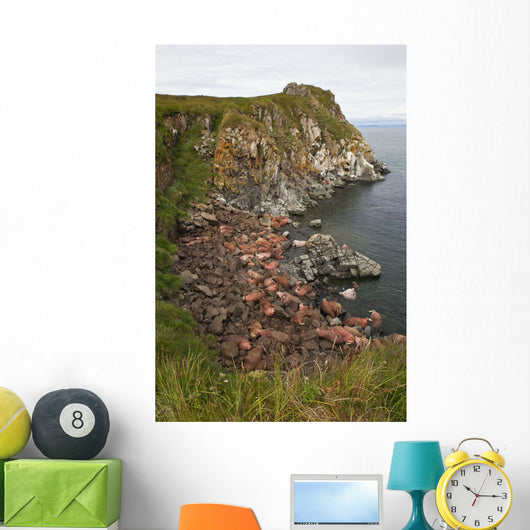 Scenic Pacific Walrus Hauled Wall Decal Design 1