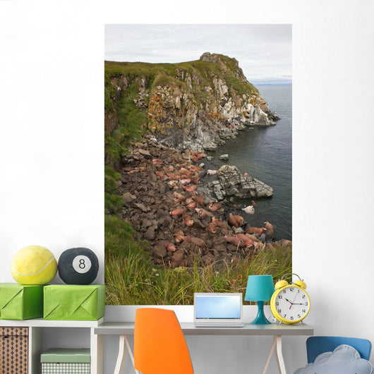 Scenic Pacific Walrus Hauled Wall Decal Design 1