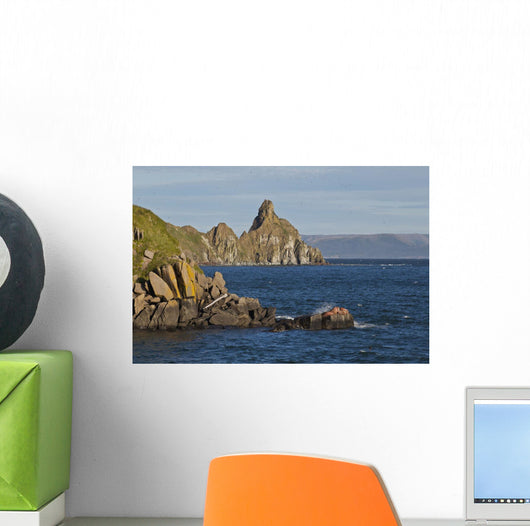 Pacific Walrus Group Males Wall Decal