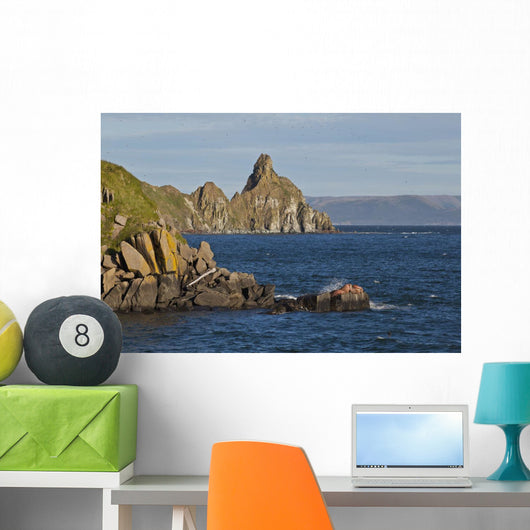 Pacific Walrus Group Males Wall Decal